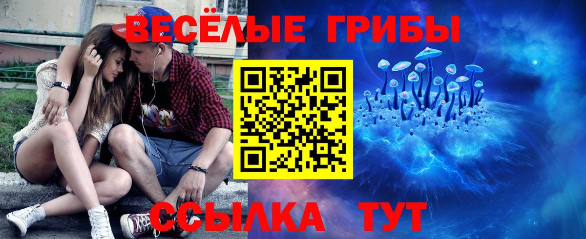 Псилоцибиновые грибы GOLDEN TEACHER Азов